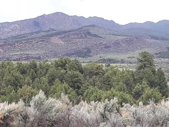 Mustang Ridge Campground Picture 6