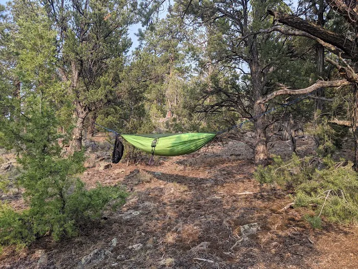 Arch Dam Group Campground Picture 6