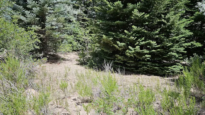 Dancing Pines South Side Picture 7