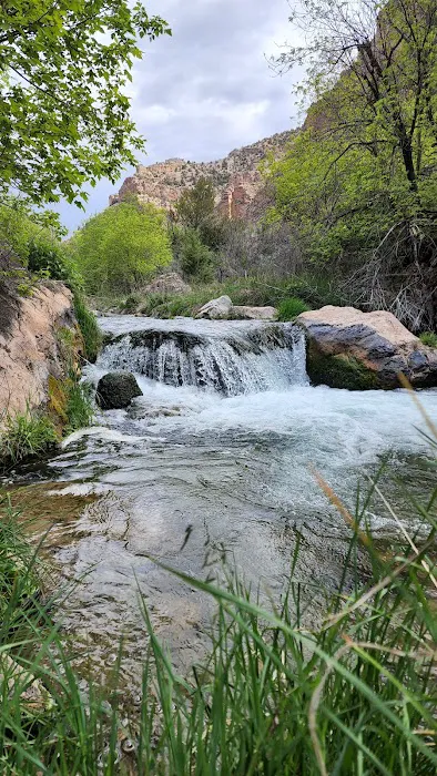 Jones Hole Campground Picture 5