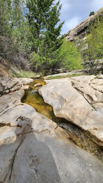 Jones Hole Campground Picture 6