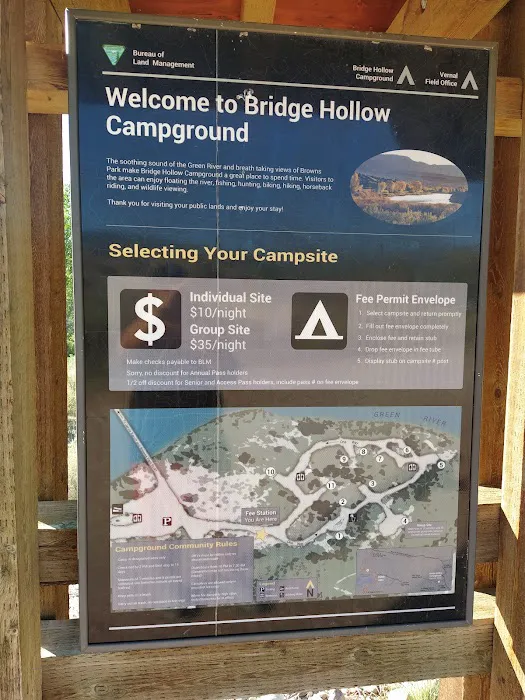 Bridge Hollow Campground Picture 2