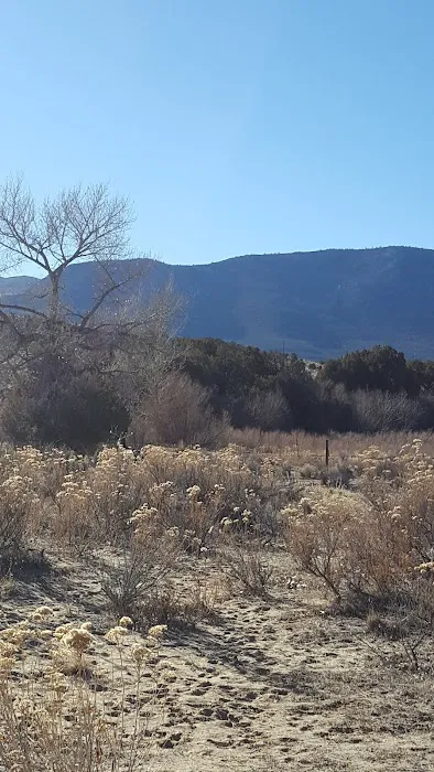 Bridge Hollow Campground Picture 5