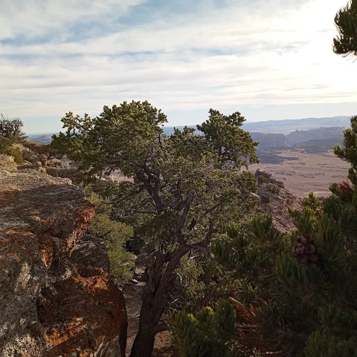 Cedar Mountain Campground Picture 5