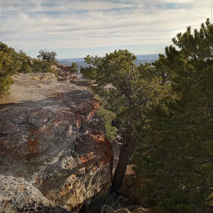 Cedar Mountain Campground Picture 6
