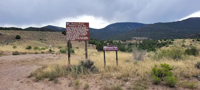 Swinging Bridge Campground Picture 7