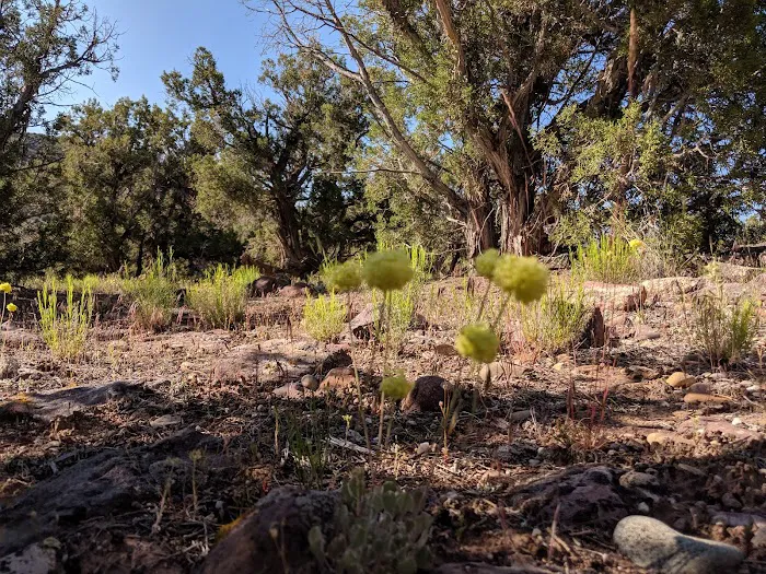 Gates Of Lodore Campground Picture 7