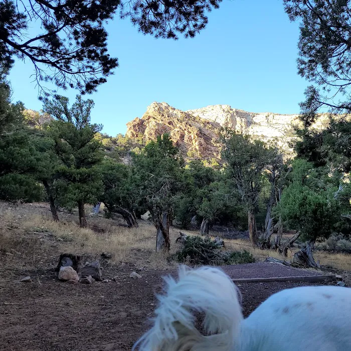 Irish Canyon Campground Picture 2