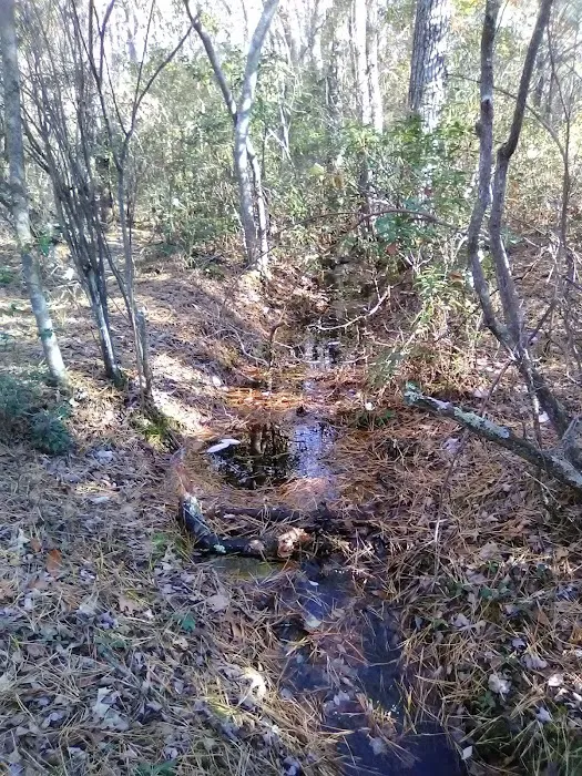 Buttonwood Hill Campsite Picture 7