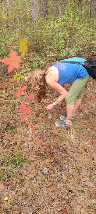 Buttonwood Hill Campsite Picture 10