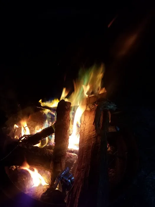 Turtle Run Campground & RV Picture 6