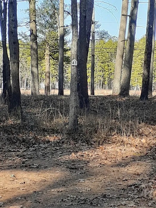 Egg Harbor Lake Campground Picture 5