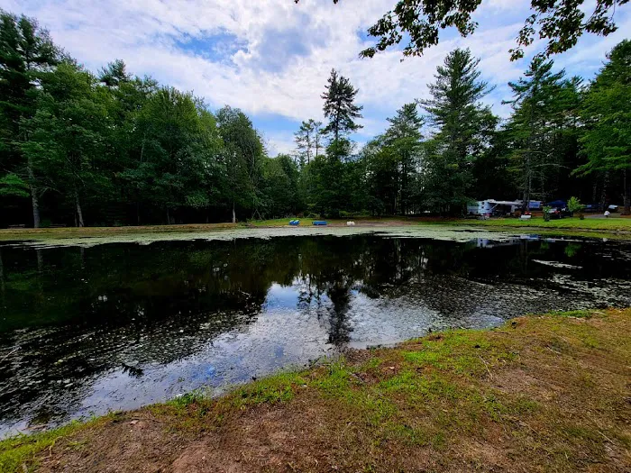 SoHi Campground Picture 4