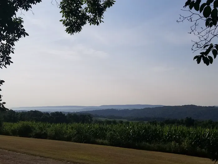 Turner's Highview campground Picture 3