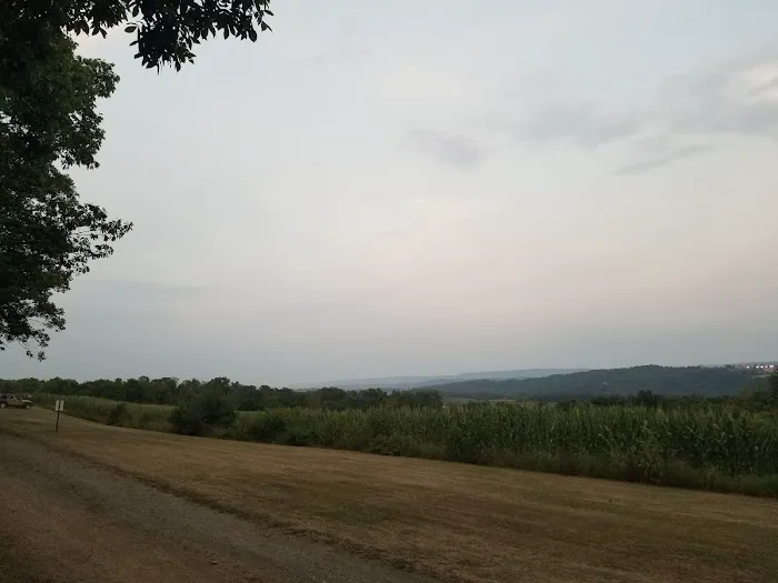Turner's Highview campground Picture 4