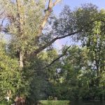 Brookview RV Park & Campground