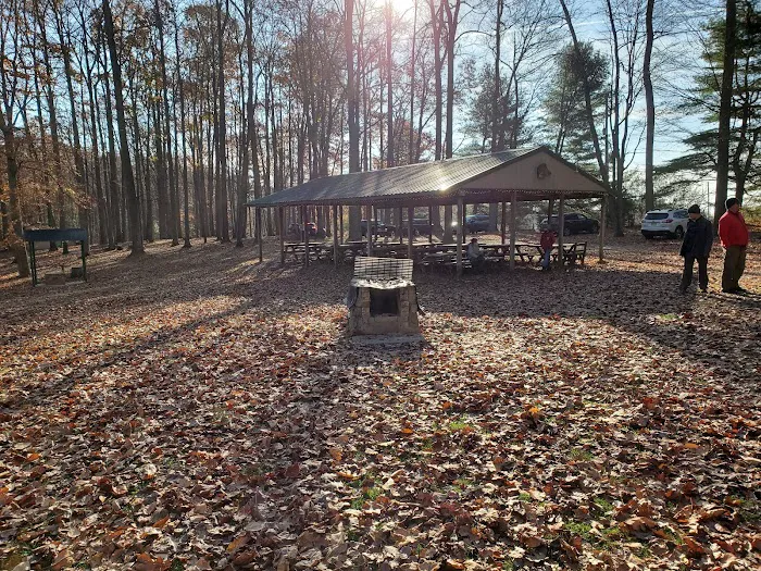 Camp Pioneer Picture 6