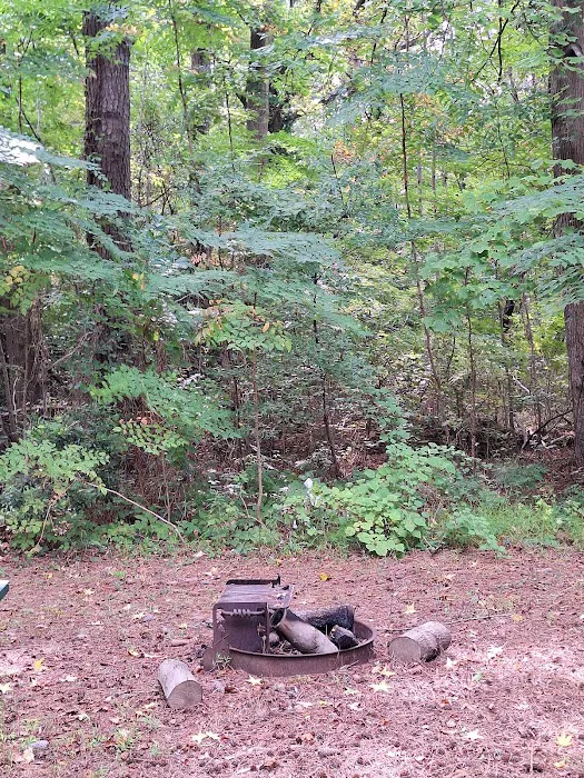 Goose Creek Campground Picture 10