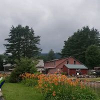 Branch Brook Campground ico
