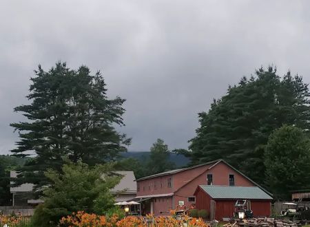 Branch Brook Campground