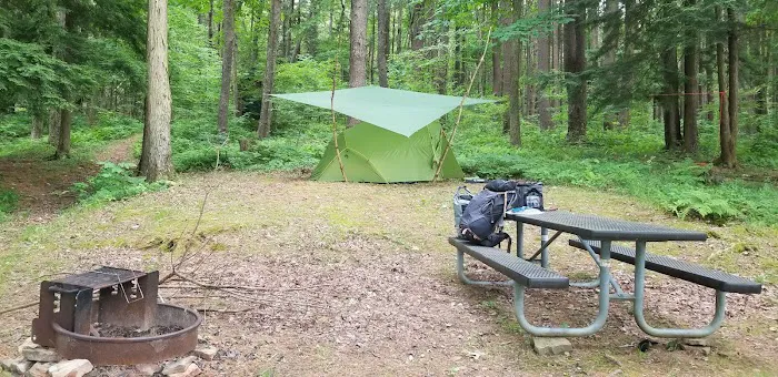 Pine Grove Campground Picture 2