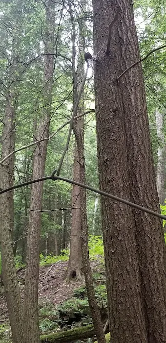 Pine Grove Campground Picture 10