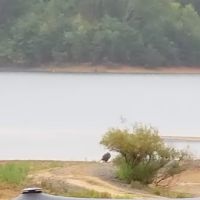 Lake view ico