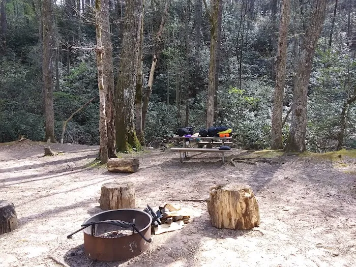 Shinny Creek Backcountry Campground Picture 1