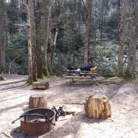 Shinny Creek Backcountry Campground ico