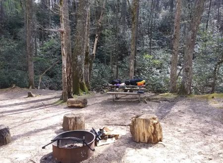 Shinny Creek Backcountry Campground