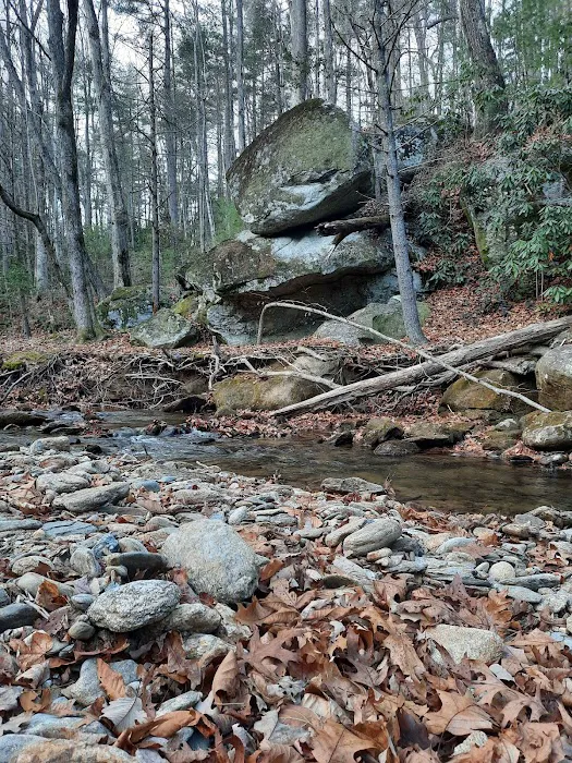 Shinny Creek Backcountry Campground Picture 3