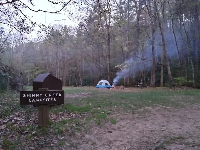 Shinny Creek Backcountry Campground Picture 4