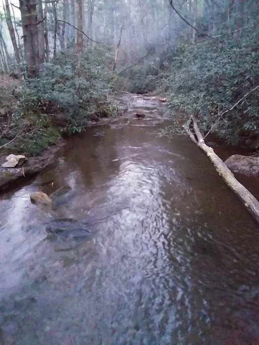 Shinny Creek Backcountry Campground Picture 9