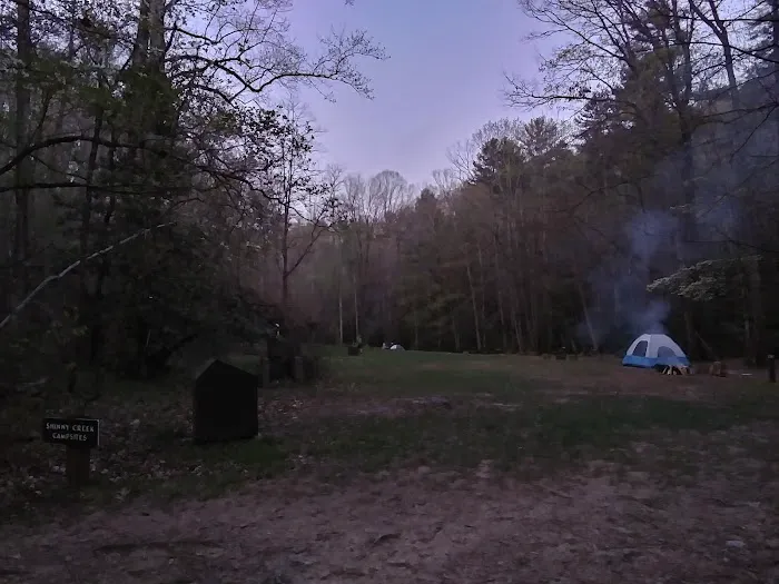 Shinny Creek Backcountry Campground Picture 10
