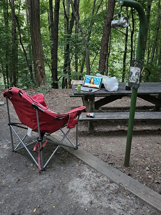 Lake James State Park Catawba Area Walk-In Campground Picture 1