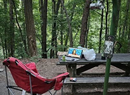 Lake James State Park Catawba Area Walk-In Campground