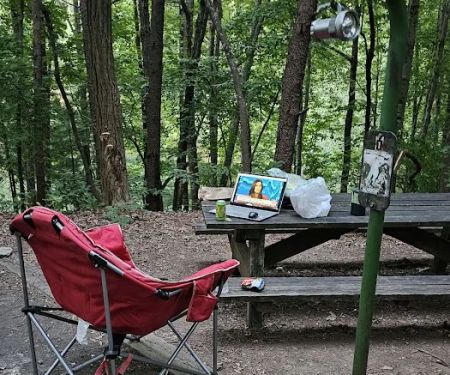 Lake James State Park Catawba Area Walk-In Campground