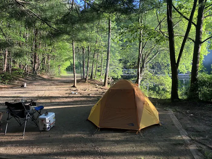 Lake James State Park Catawba Area Walk-In Campground Picture 2
