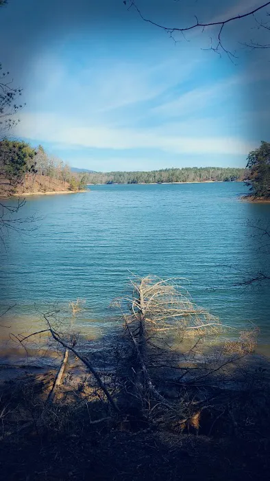 Lake James State Park Catawba Area Walk-In Campground Picture 5
