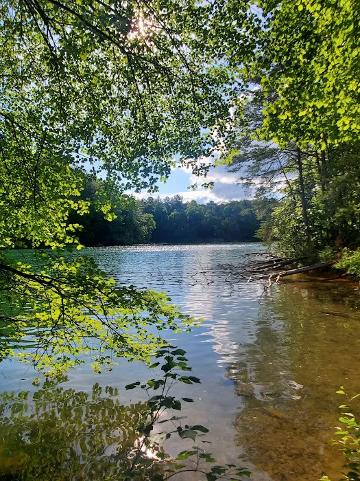 Lake James State Park Catawba Area Walk-In Campground Picture 10