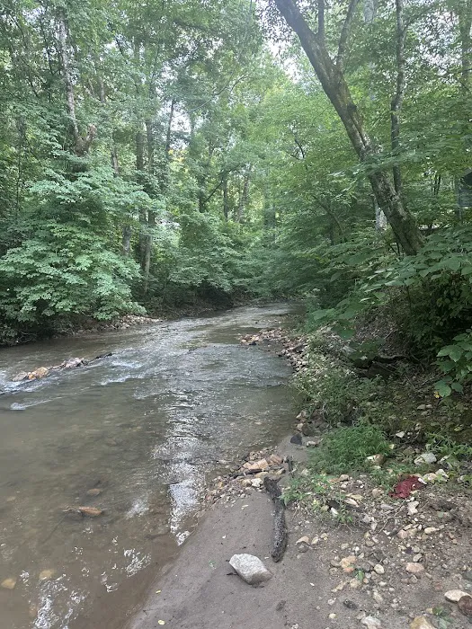 Lake James State Park Catawba River Access Picture 5