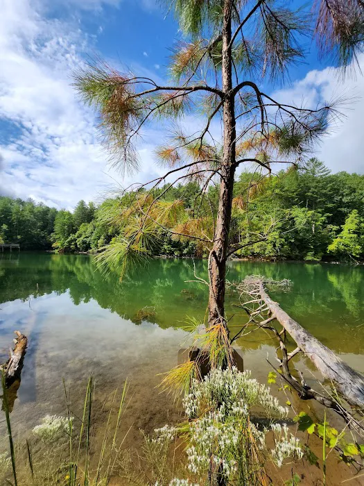 Lake James State Park Catawba River Access Picture 6