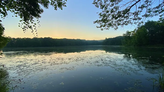 Ionia State Recreation Area Campground Picture 6