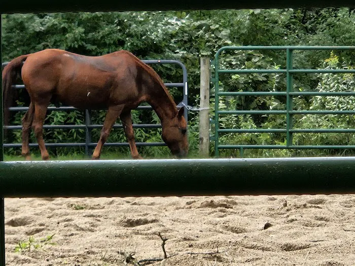 Ionia Equestrian-Rustic Picture 2
