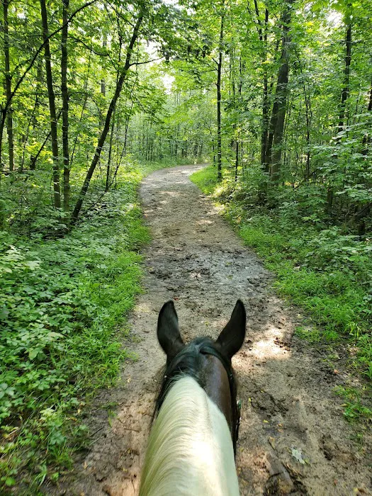 Ionia Equestrian-Rustic Picture 1