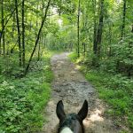 Ionia Equestrian-Rustic