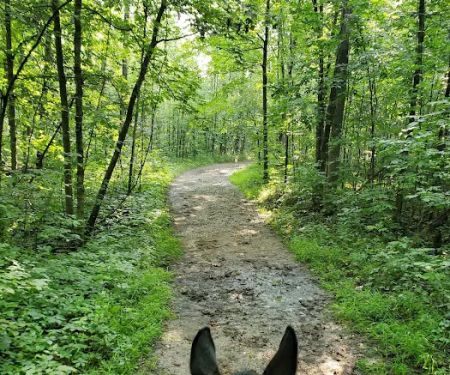 Ionia Equestrian-Rustic