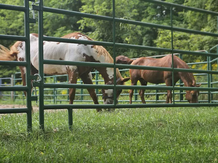 Ionia Equestrian-Rustic Picture 4