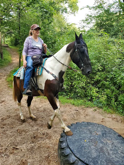 Ionia Equestrian-Rustic Picture 10