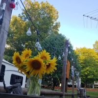 Maple River Campground ico